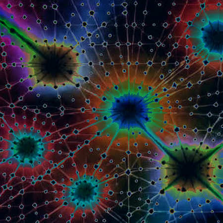 Whales and Dissent: The On-Chain Signal Behind OpenAI’s Internal Revolt